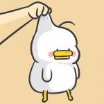 guang guang Profile Picture